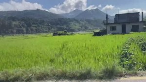 🚩 Рутуб! Всё! С Меня Хватит. Отвечаю Хейтерам. Брат Рупака Умеш. Непал _25. (1)