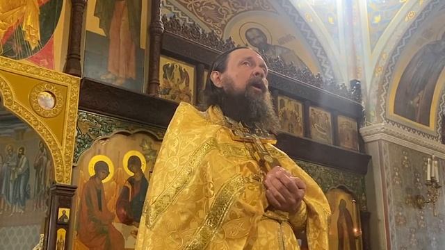 Пастырь добрый, а овцы не добры - давайте же молиться друг о друге! смотреть онлайн