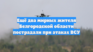 Ещё два мирных жителя Белгородской области пострадали при атаках ВСУ