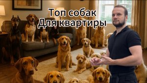 Топ лучших пород собак для квартиры