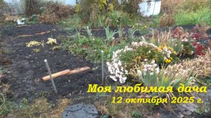 12.10.2025 _ Моя любимая дача