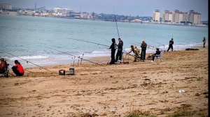 Рыбалка на кефаль в Евпатории 2025. Дельфины, бакланы и шикарные виды, не рыбалка а сказка!!!