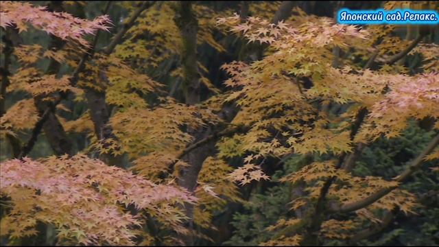 Японский сад.Релакс. смотреть онлайн