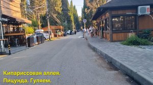 Влог .   Кипарисовая аллея. Пицунда. Абхазия.Cypress Alley. Pitsunda. Abkhazia.