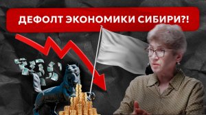 Наталья Зубаревич о кризисе экономики Сибири, дефиците бюджетов и невыплате заплат бюджетникам
