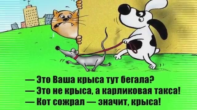 Смешные анекдоты в картинках 2021 смотреть онлайн