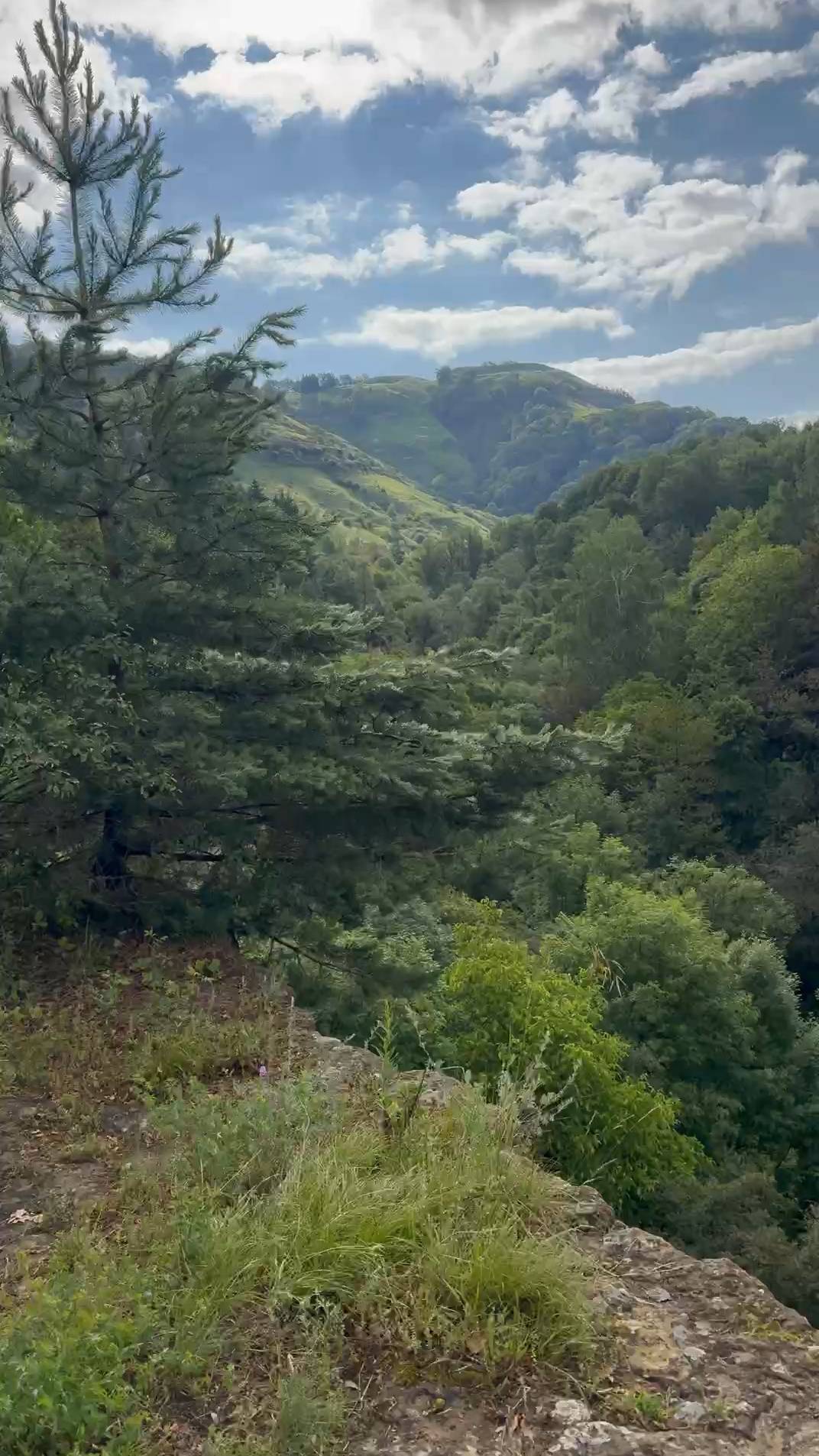 Удивительные цифры Кисловодского парка