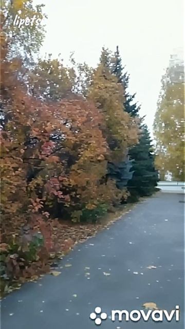 Липецк, улицы осеннего города.mp4