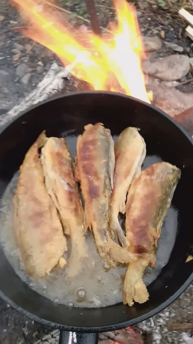 Жаренный хариус, еда на костре, река КУР, 01.10.025 г. Riverbank BBQ Secrets You Won't Believe