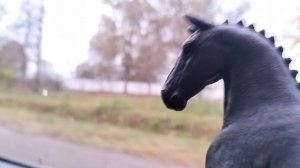 Мир лошадей пока! 😭😭😭