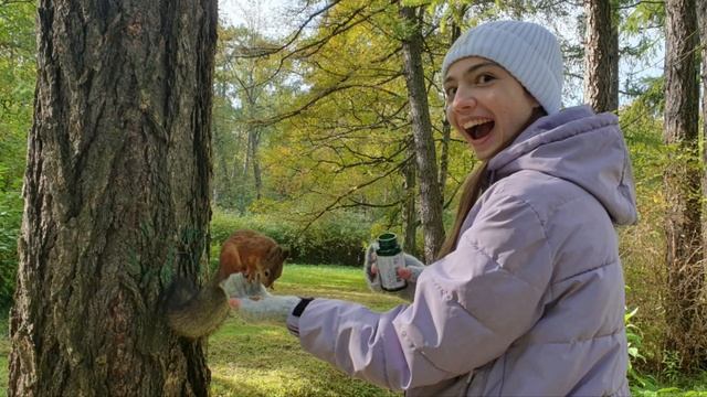 Осторожно, белки! смотреть онлайн