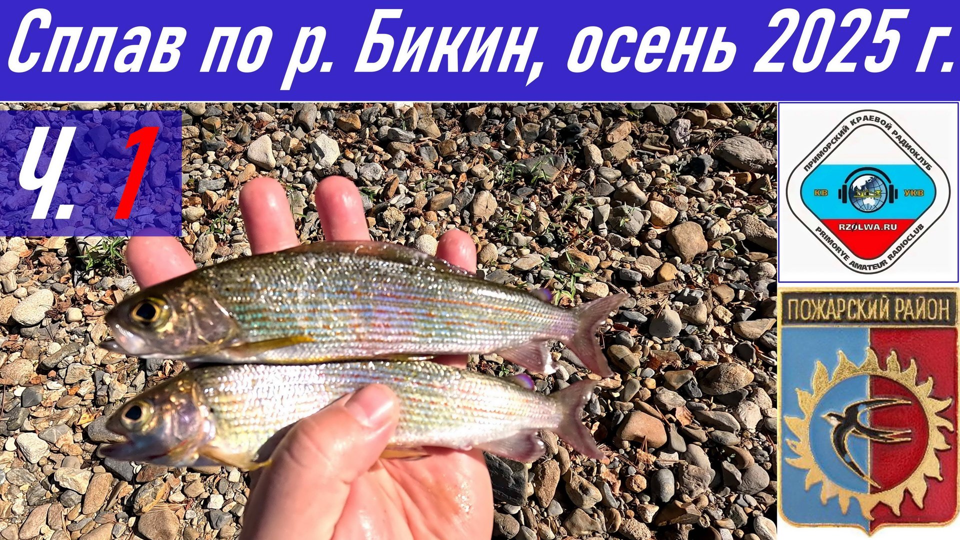 Ч.1_Рыбалка и сплав длиной 90,4 км по реке Бикин осенью 2025 г., радиосвязь из тайги RA0LKG смотреть онлайн