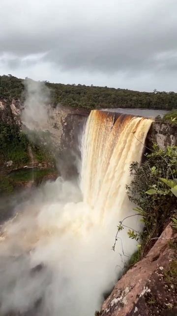 Гайана смотреть онлайн