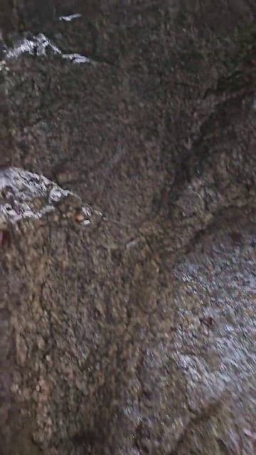 Карелия. Медвежьегорск. Финская тоннельная казарма Вичка. Karelia. Medvezhyegorsk. Finnish barracks смотреть онлайн