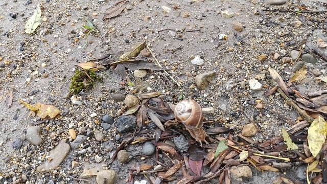 Ещё один день в Больших хуторах смотреть онлайн