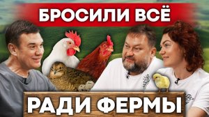 Куры несушки, цыплята бройлеры, перепелки, яйца: ВСЁ, что нужно знать фермеру-новичку