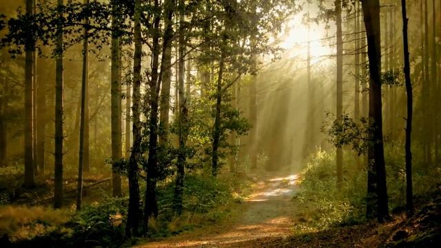 журавлик смотреть онлайн