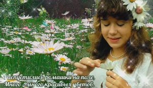 ... НЕ ГАДАЙ НА РОМАШКАХ