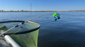 Рекордный лещ пойман. Ловля леща на кольцо. Рыбалка осенью 2025