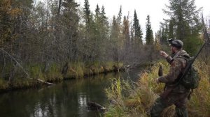 РЫбалка на Хариуса ЛЕС