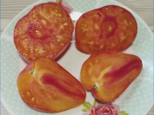 Томат Апельсиновое Манго