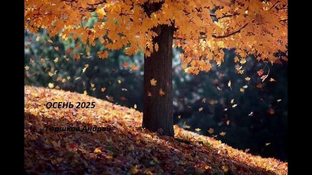 Autumn 2025 AUGorshkov