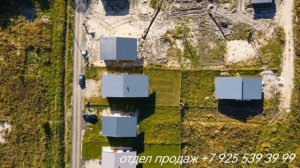 petal_20251004_230104.mp4