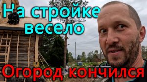 У нас на стройке весело Приехал синий трактор и теперь огорода больше нет. Собрали меньше чем сажали