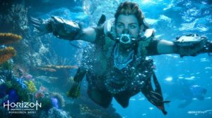 Horizon Запретный Запад место где находятся Высший Буревестник и Высший Смертокрыл