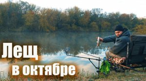 🎣Фидер на Дону в октябре: Тактика, поиск и ловля осенней рыбы. 🍂 🐟