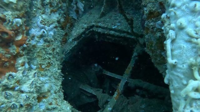 дайвинг в Дубае; дайвинг на Персидском заливе, рэк-дайвинг смотреть онлайн