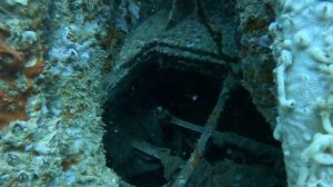 дайвинг в Дубае; дайвинг на Персидском заливе, рэк-дайвинг