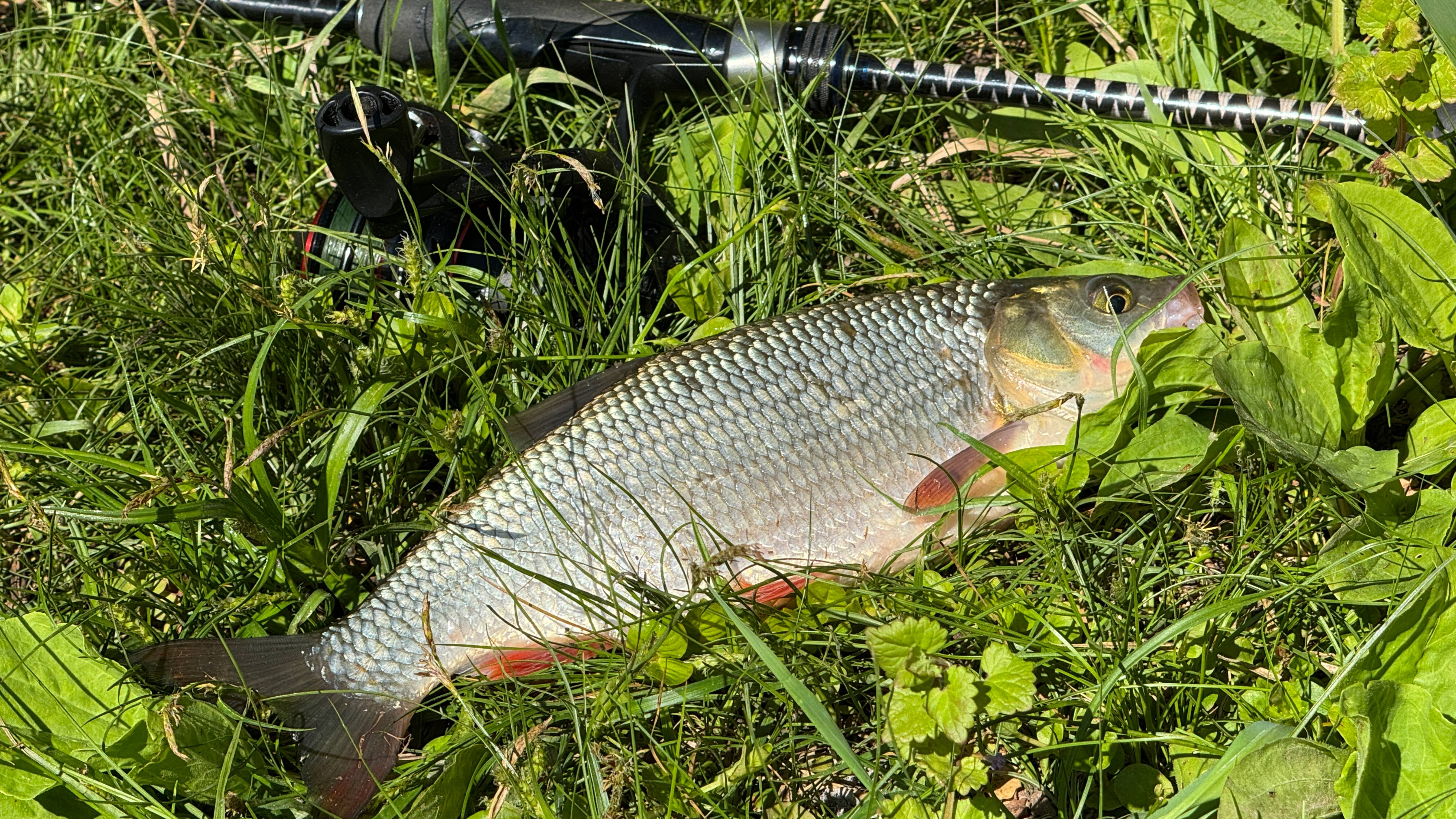 Рыбалка на микро вертушки. Рыбалка на спиннинг с берега. Рыбалка на блесны. Блесна.