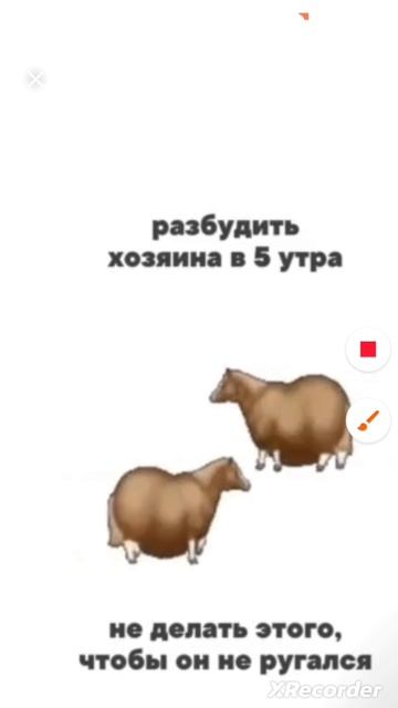 Сложный и смешной выбор одновременно смотреть онлайн