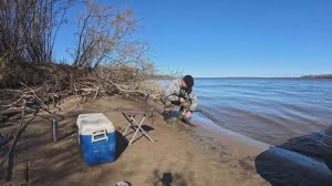 Первые осенние сиги на резинку.10.10.2025