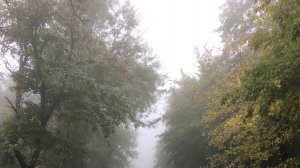 Из Минеральных Вод в Железноводск