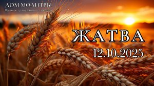 12.10.2025 - Прямая трансляция, праздник «Жатва» ст.Елизаветинская