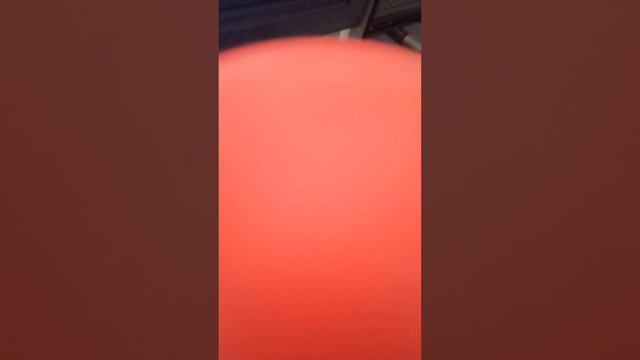 что было бы если тигр шлепа готовили пельмени смотреть онлайн