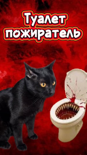 Как теперь ходить в туалет? 🙀 #кот #кошка #котики #животные #ужасы #страшно #туалетпожиратель
