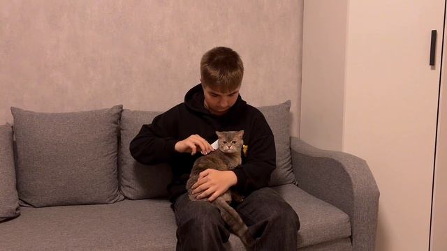 Это в Традициях Нашей Семьи смотреть онлайн