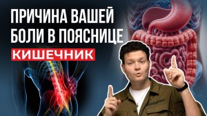 ЖКТ — второй мозг. Почему стресс разрушает кишечник, кожу и иммунитет?