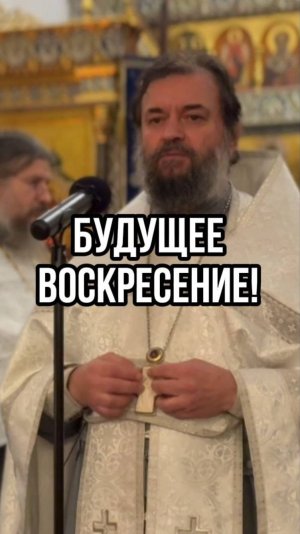 Будущее воскресение! Отец Андрей Ткачев