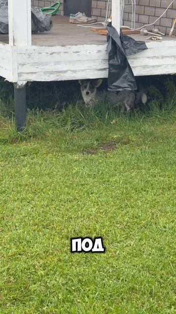 Бедная Бэтти смотреть онлайн