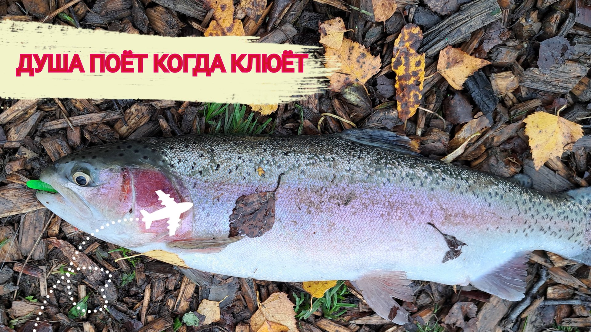 12.10.25 Рыбалочка в Коротыгино. смотреть онлайн