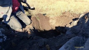 До Обеда Калымил, а после Обеда на Металла коп, Накопался от души.