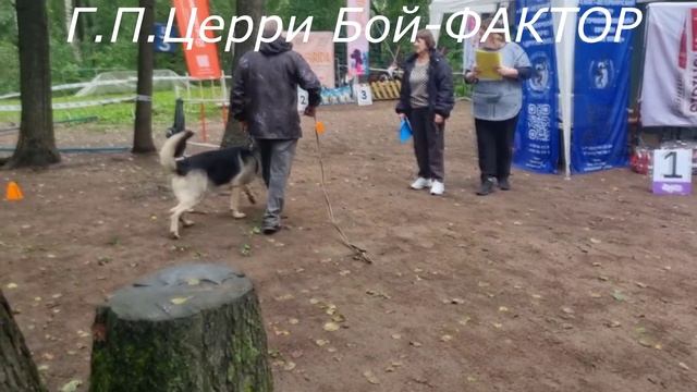 ЦЕРРИ БОЙ -выражено ЛРСmp4 смотреть онлайн