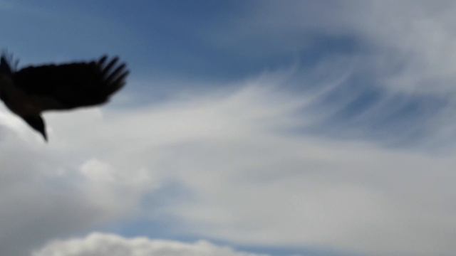 Санкт- Петербург. Лиговский проспект. Вид сверху. Бизнес-центр "Лиговка", учебная аудитория. смотреть онлайн