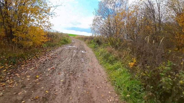 Gregorian - Join Me. Осень в России. Полет на Dji Avata.