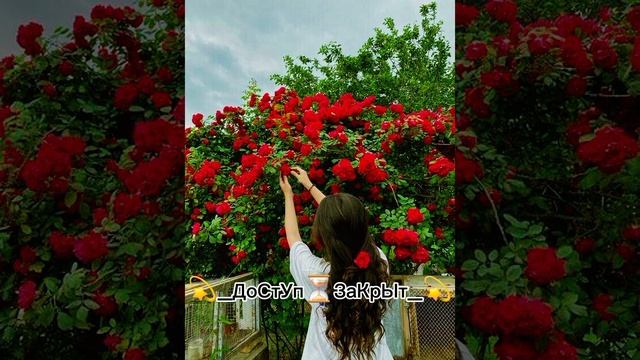 ❤️❤️новая турецкая песня💫💫 смотреть онлайн