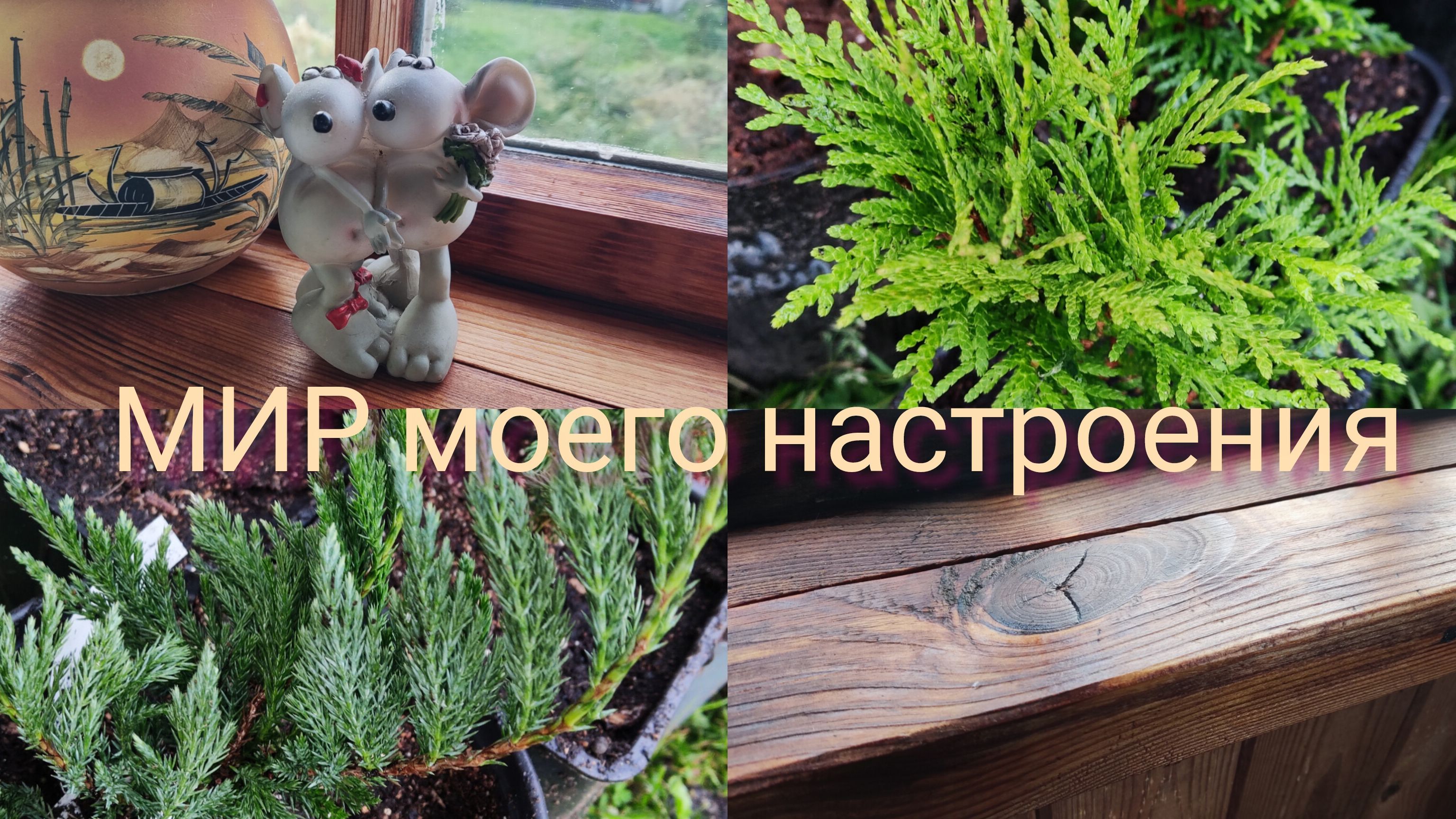 12.10.25 Дача.Последние новинки в этом сезоне. смотреть онлайн